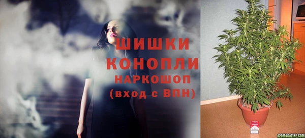 МДПВ Алексеевка