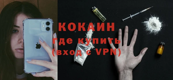 кокс Алексин
