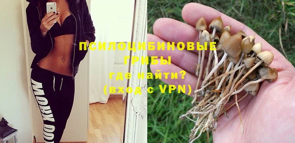 не бодяженный Алзамай