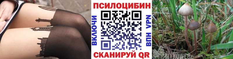 цены наркотик  Шацк  Псилоцибиновые грибы прущие грибы 